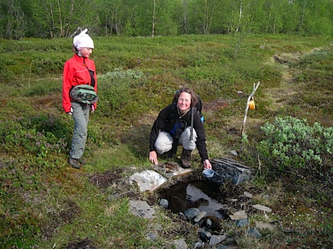 Abisko Juni 2009 dag 3 - 24.jpg